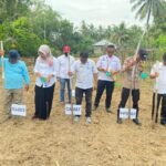 ‎Polres Kuantan Singingi Dorong Ketahanan Pangan, Lahan Desa Pulau Kijang Disulap Jadi Kebun Jagung Pipil Produktif
