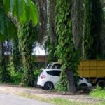 ‎Diduga Gudang Penimbunan BBM Solar Subsidi Belakang Alam Mayang Pekanbaru, Tidak Tertindak Oleh APH Setempat!