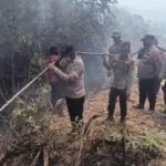 Keterbatasan Air & Medan Terjal Bukan Halangan, 98 Personel Padamkan Kebakaran 10 Hektar di Kampar Kiri